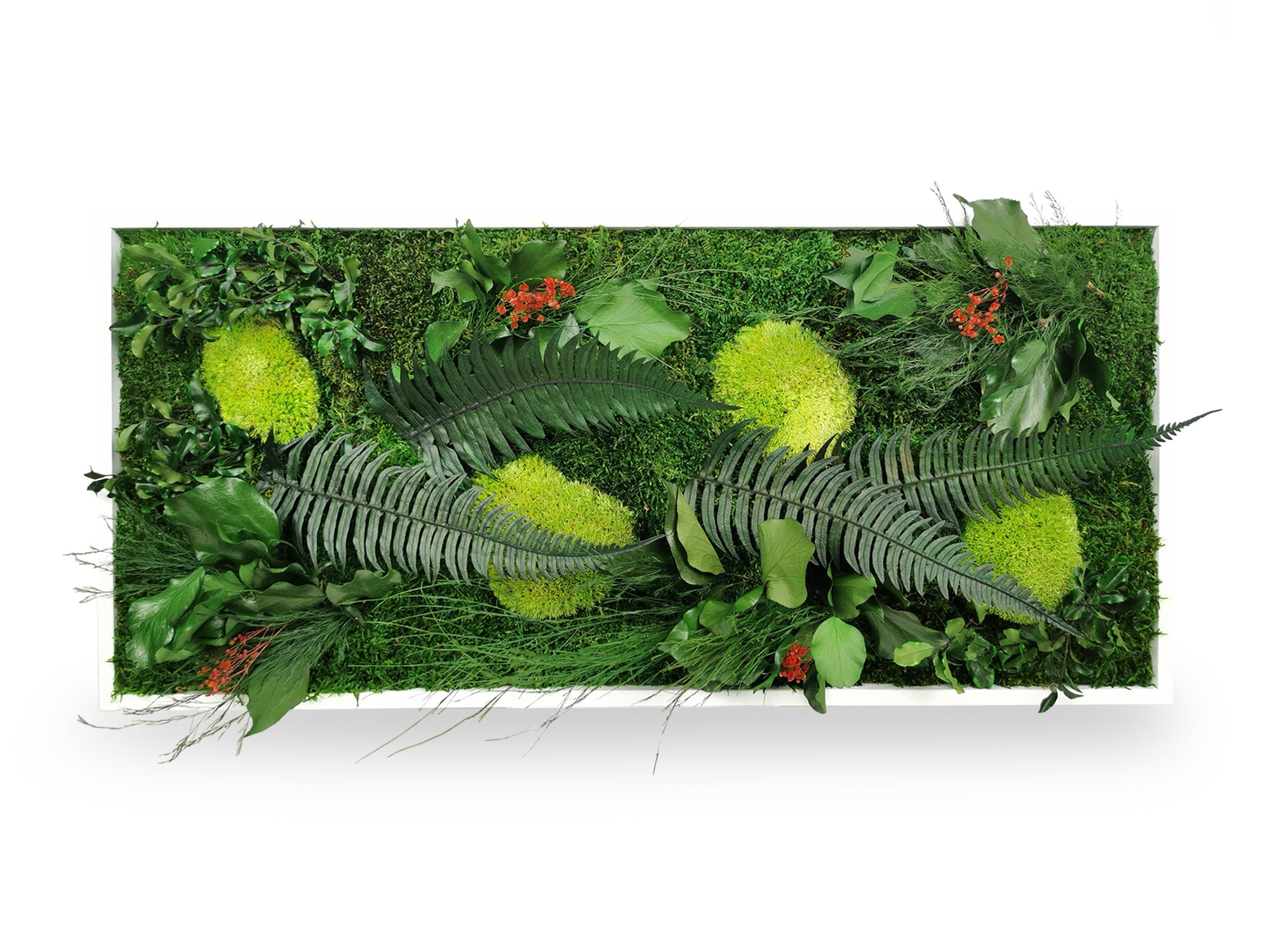 Quadro vegetale naturale stabilizzato Elegance 34x74