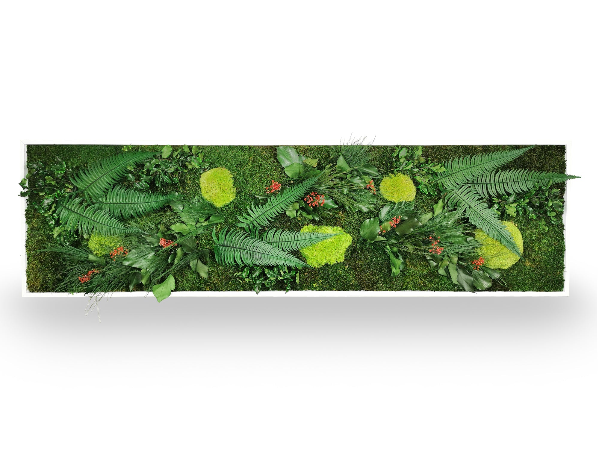 Quadro vegetale naturale stabilizzato Elegance 40x140