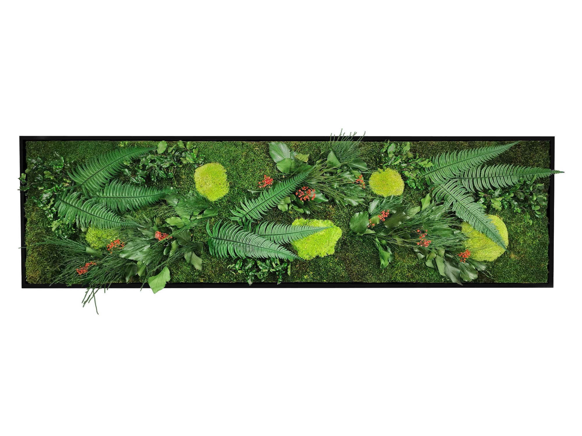 Quadro vegetale naturale stabilizzato Elegance 40x140