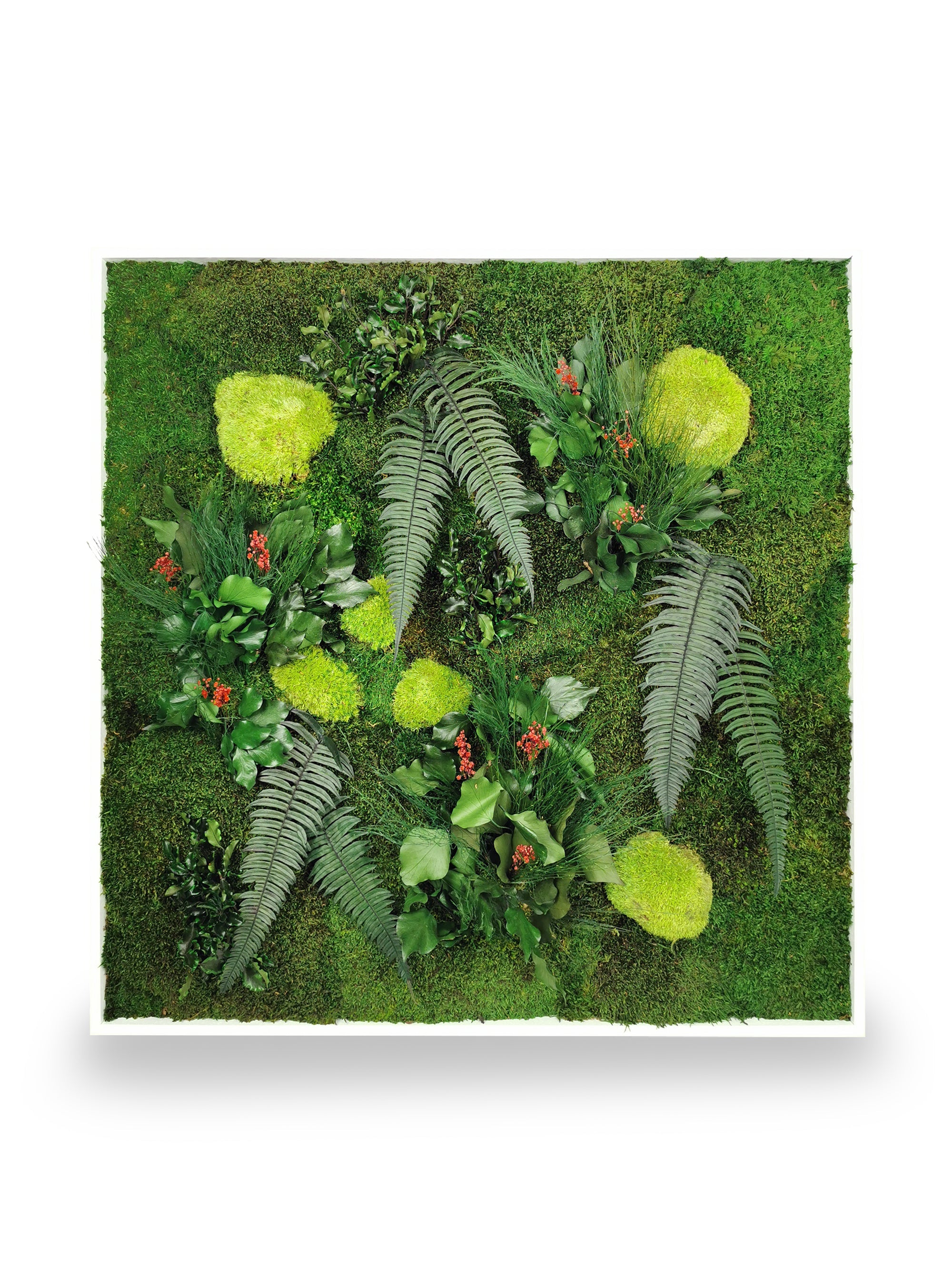 Quadro vegetale naturale stabilizzato Elegance 80x80