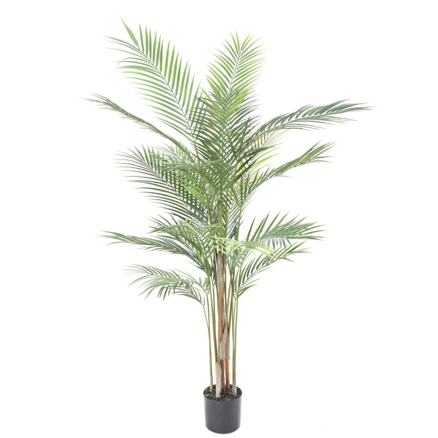 ARECA Plast