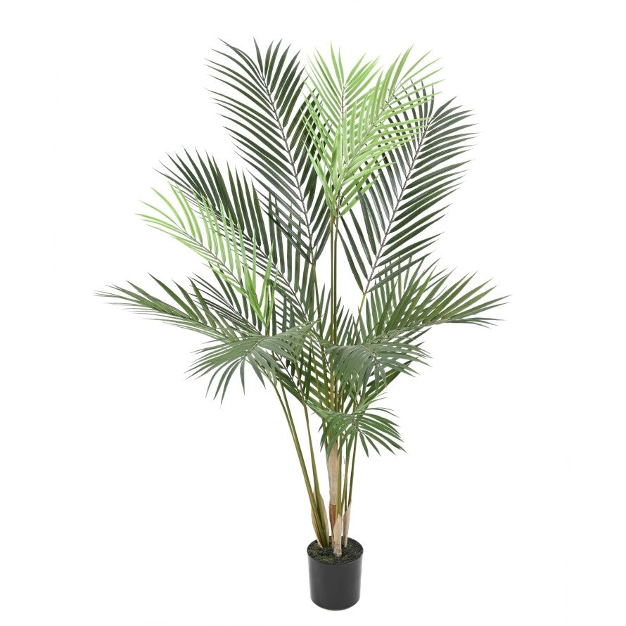 ARECA Plast