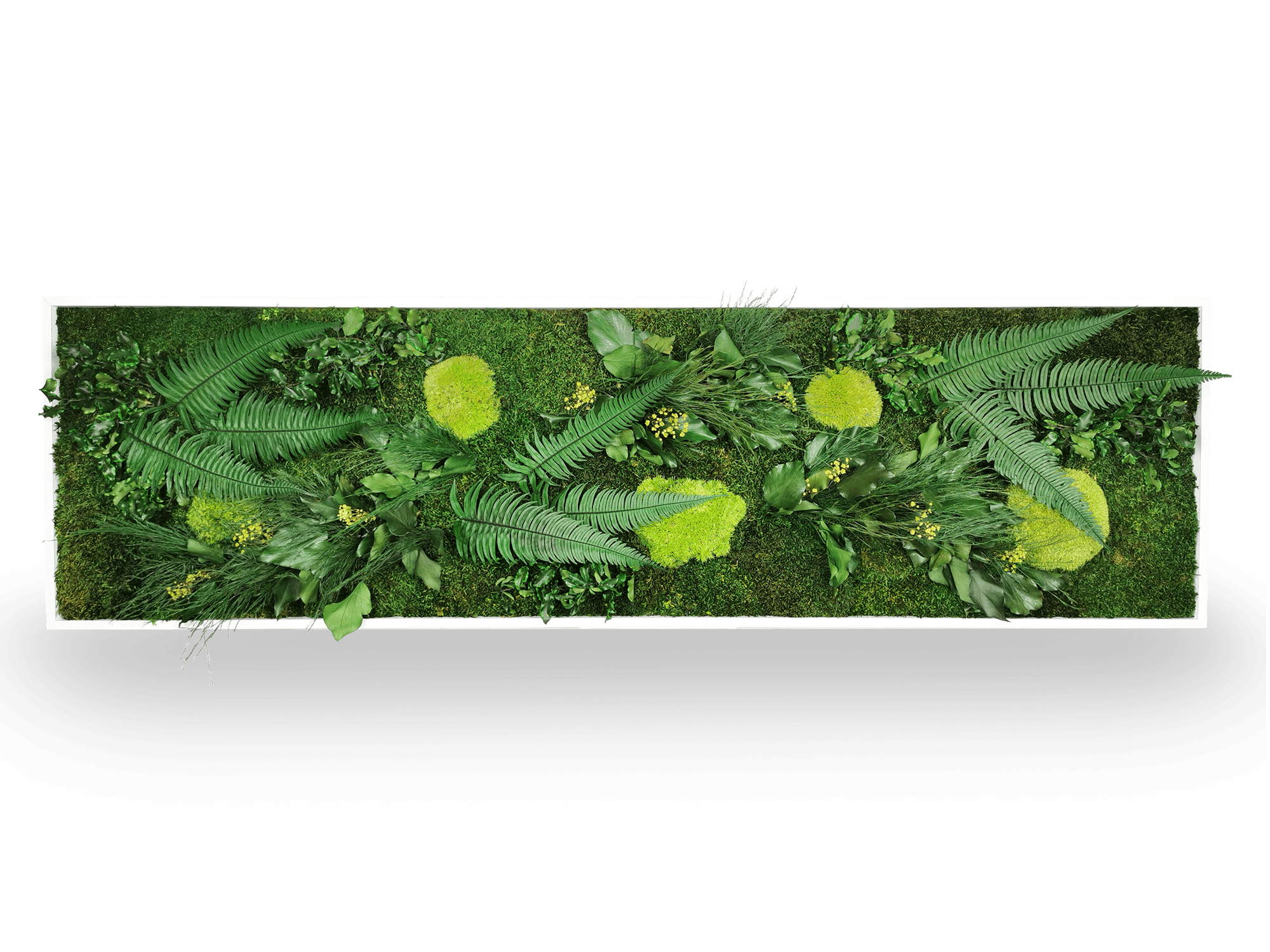 Stabilisiertes Naturpflanzengemälde Elegance 40x140