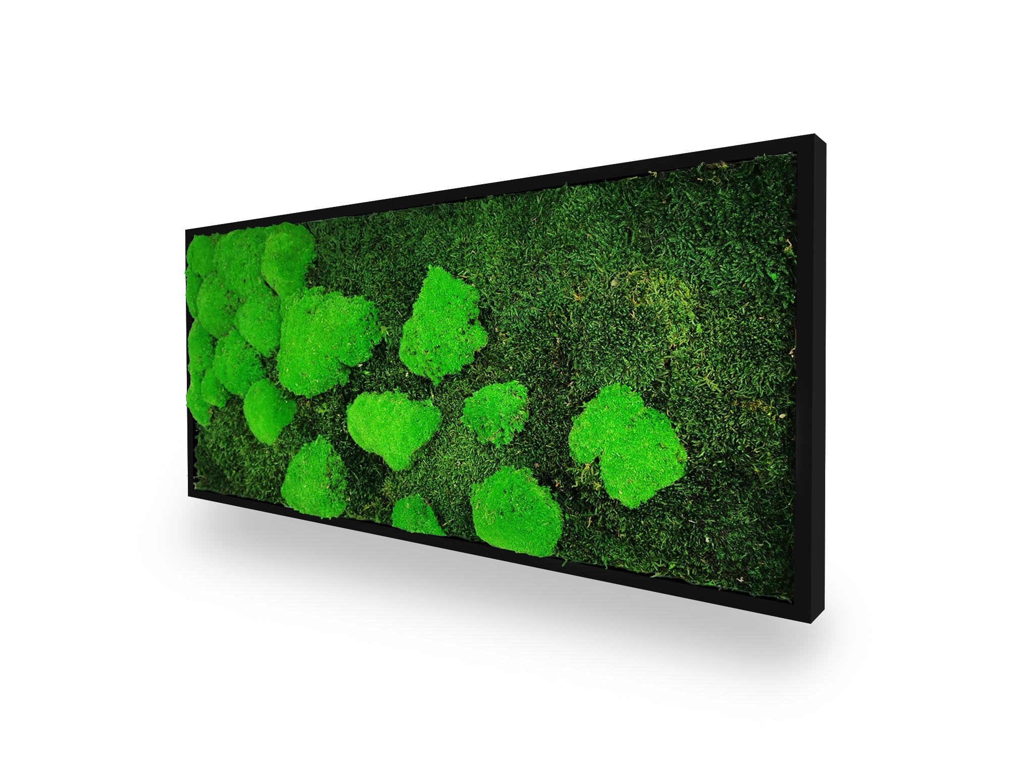 Quadro vegetale naturale stabilizzato al muschio 34x74 cm