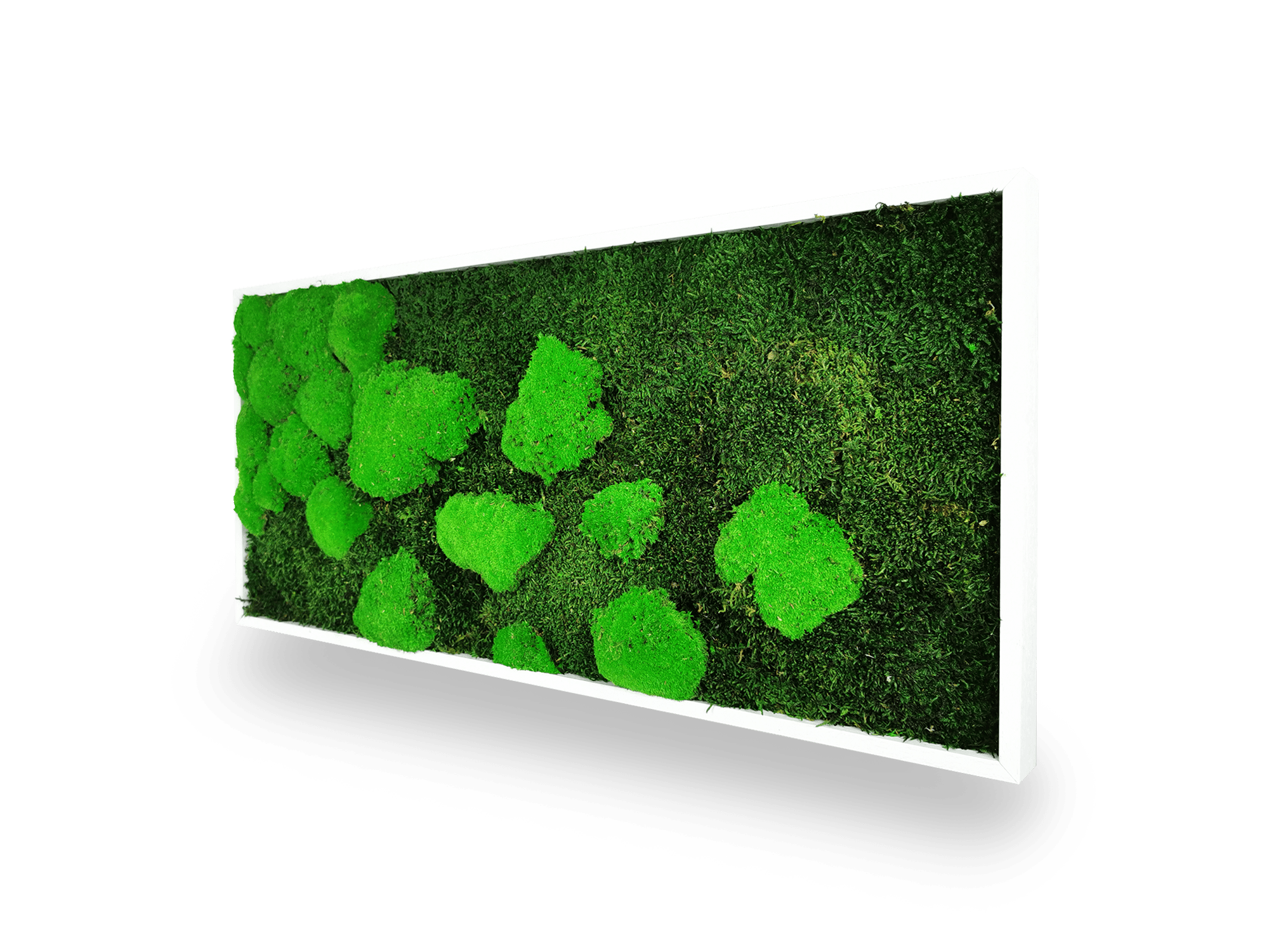 Quadro vegetale naturale stabilizzato al muschio 34x74 cm