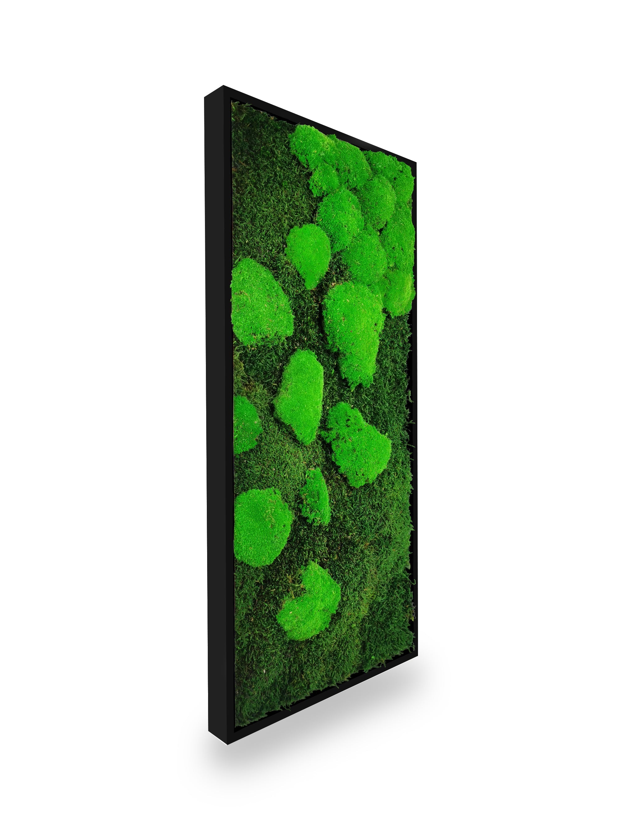 Quadro vegetale naturale stabilizzato al muschio 34x74 cm