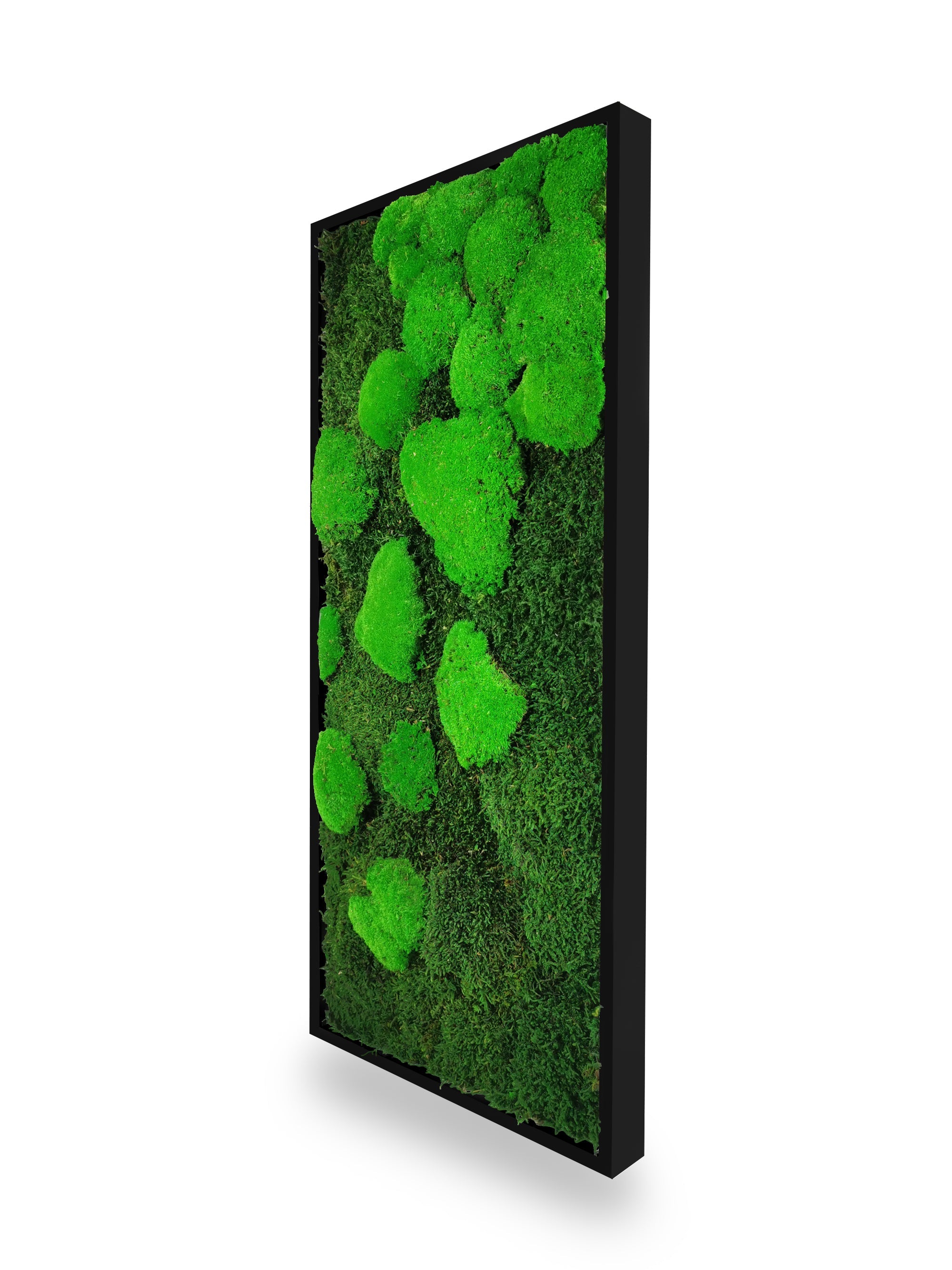 Quadro vegetale naturale stabilizzato al muschio 34x74 cm