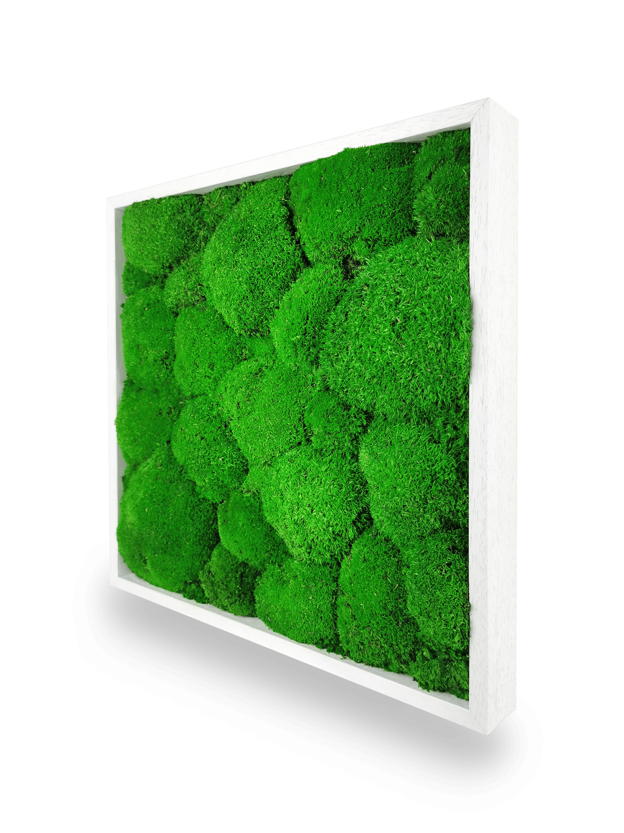 Tavolo sfera vegetale naturale stabilizzata 35x35