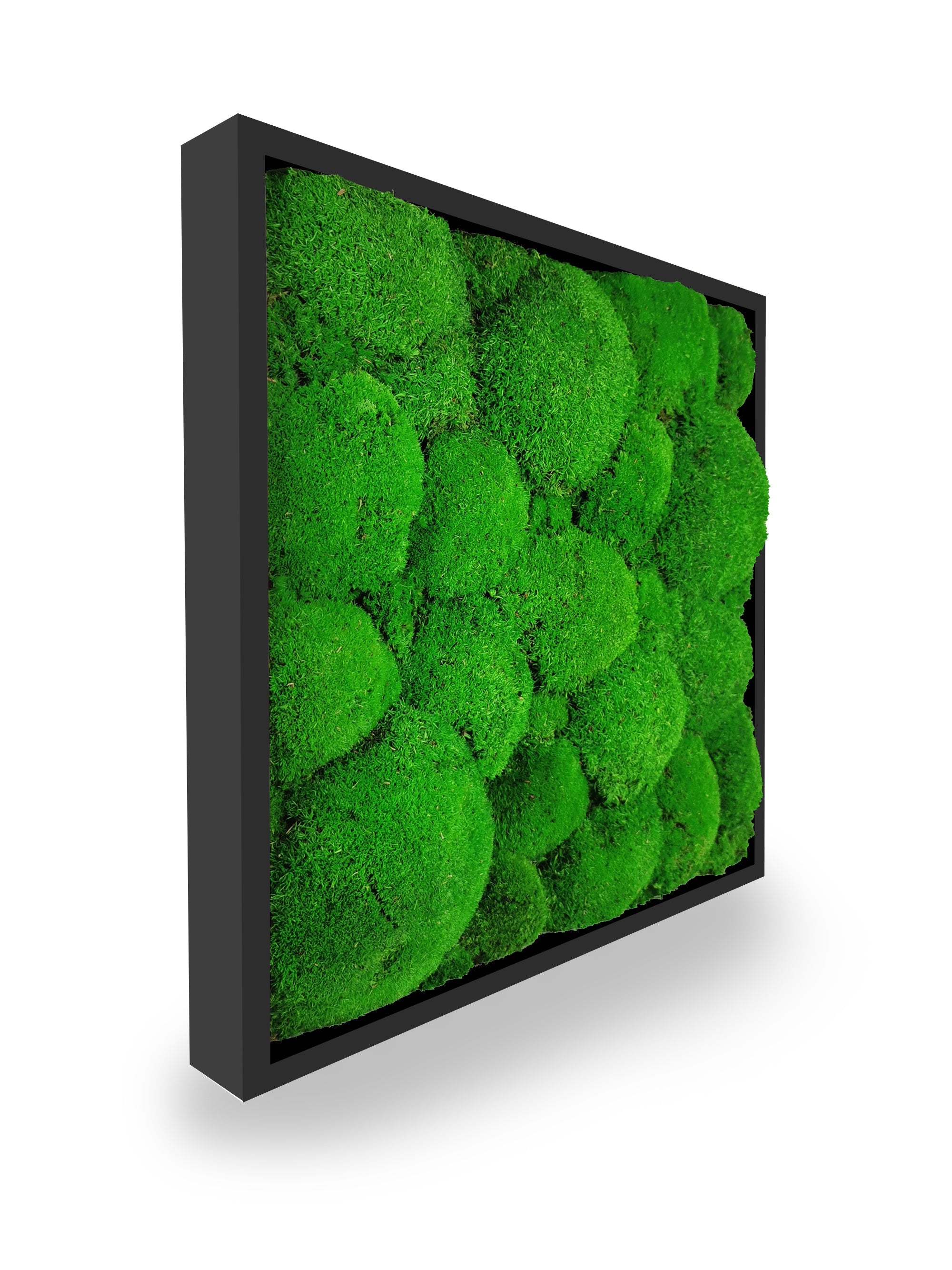 Tavolo sfera vegetale naturale stabilizzata 35x35