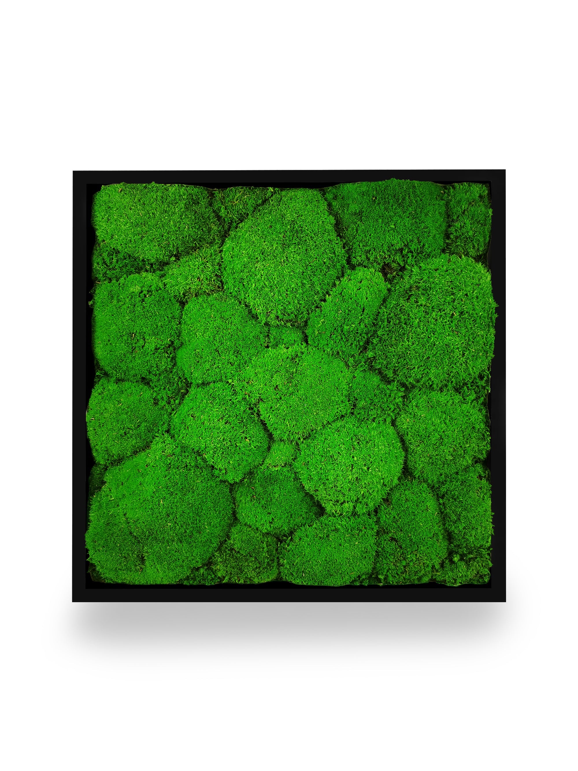 Tavolo sfera vegetale naturale stabilizzata 35x35