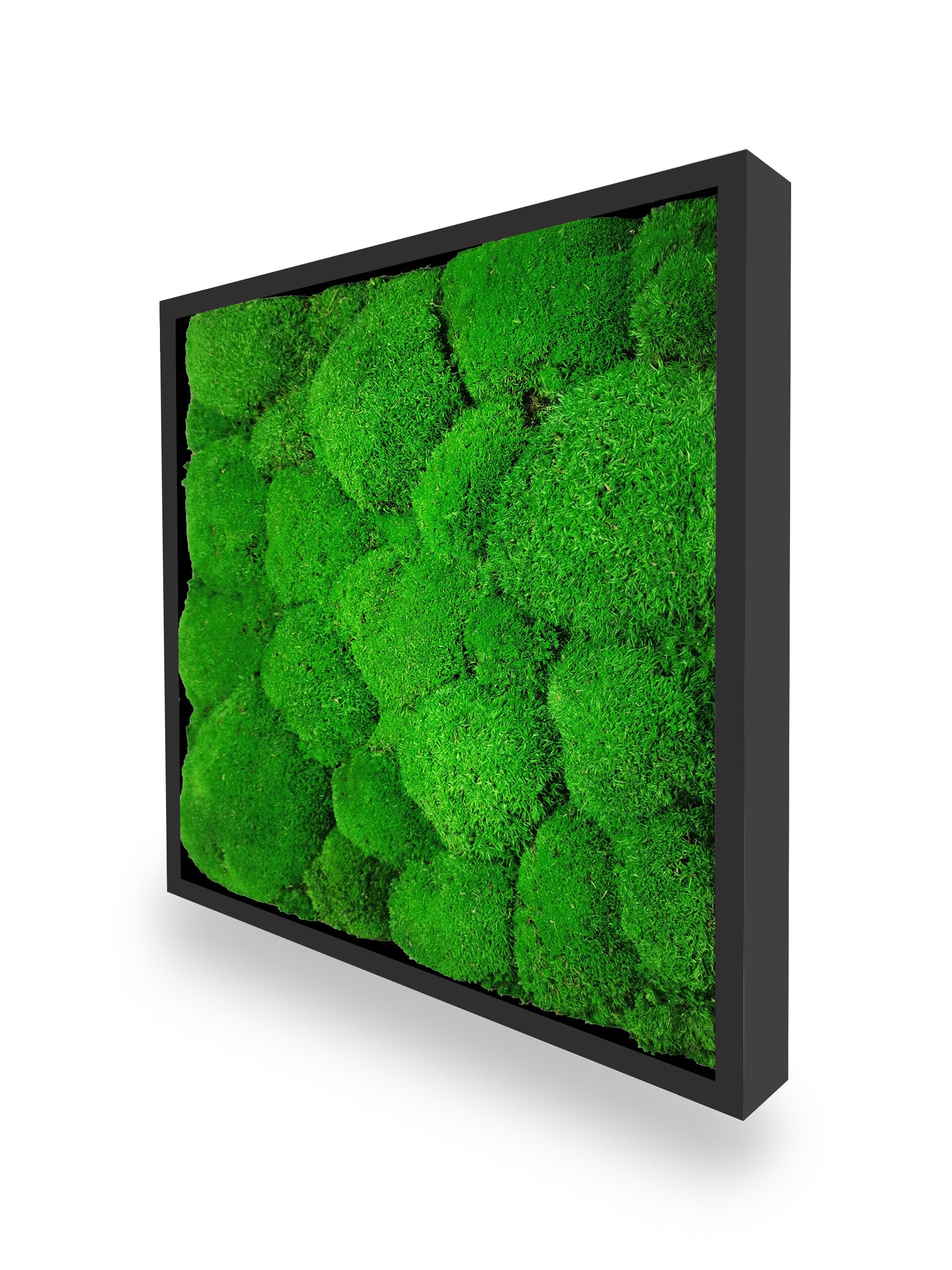Tavolo sfera vegetale naturale stabilizzata 35x35