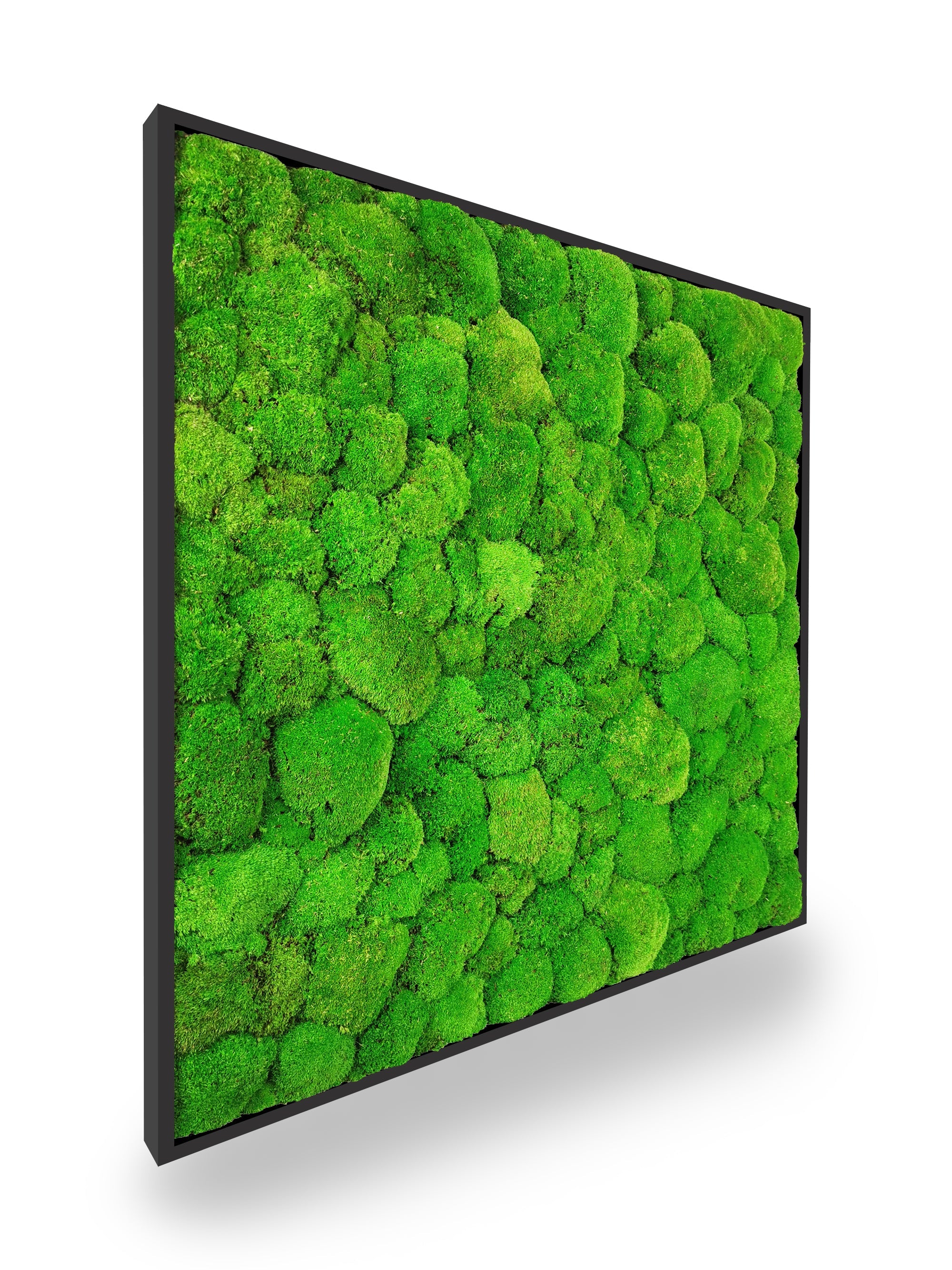 Tavolo in pianta naturale stabilizzata Sfera 80x80