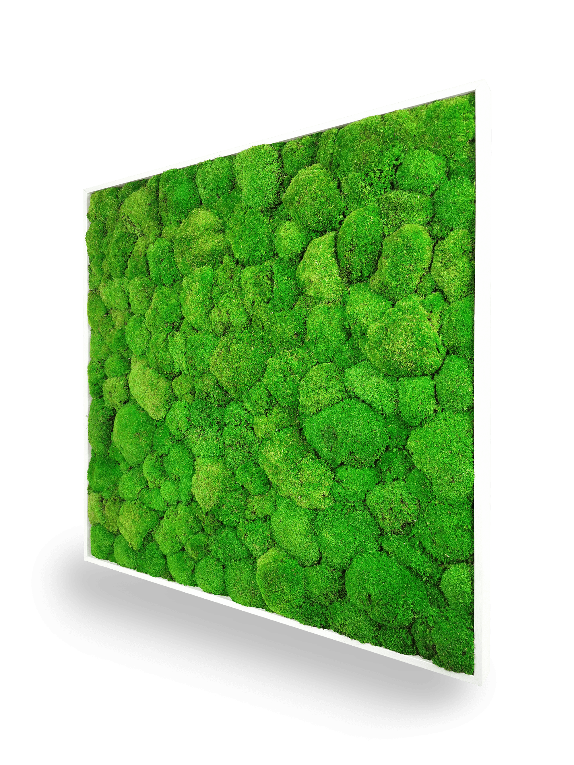 Tavolo in pianta naturale stabilizzata Sfera 80x80