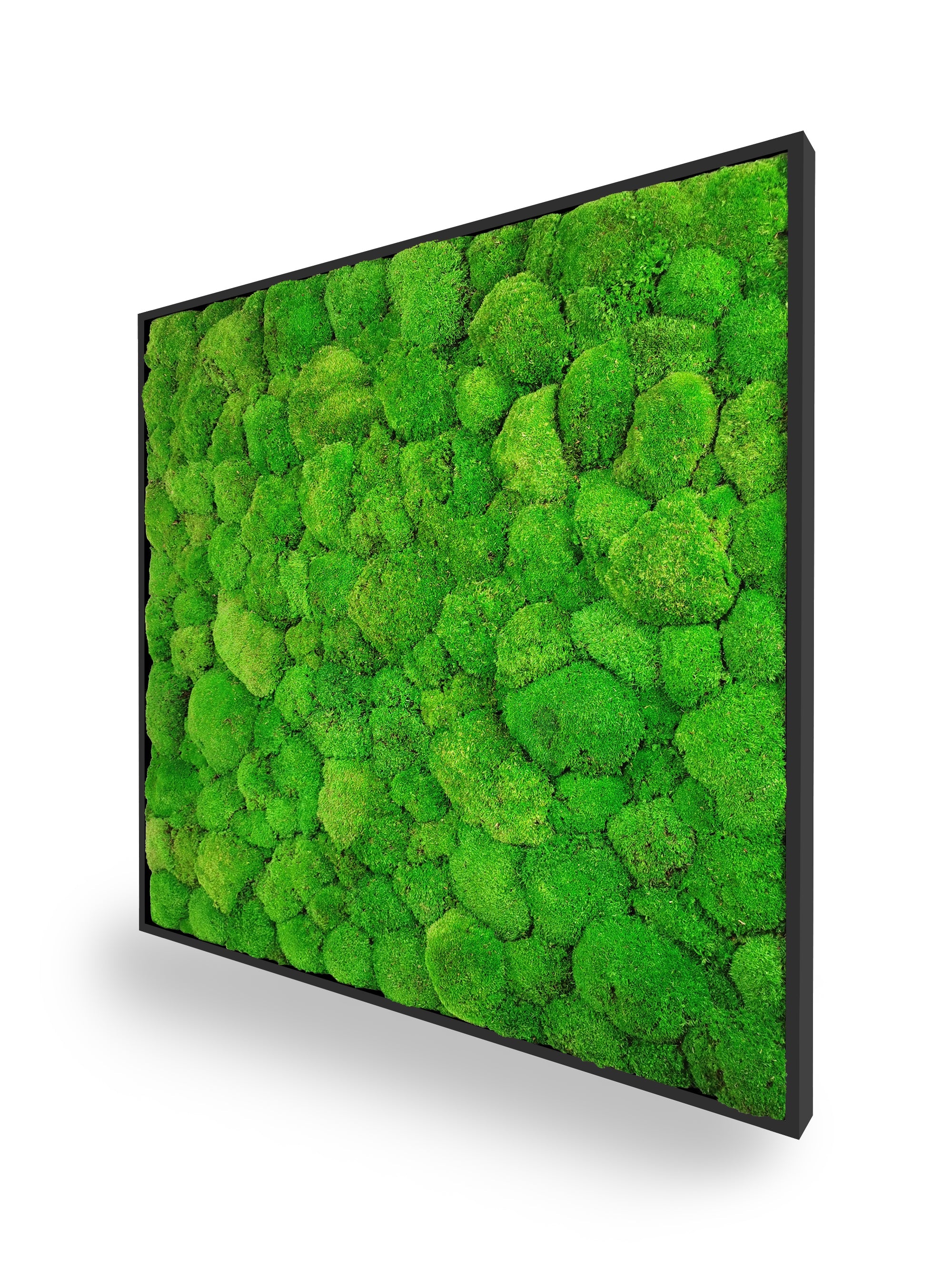 Tavolo in pianta naturale stabilizzata Sfera 80x80