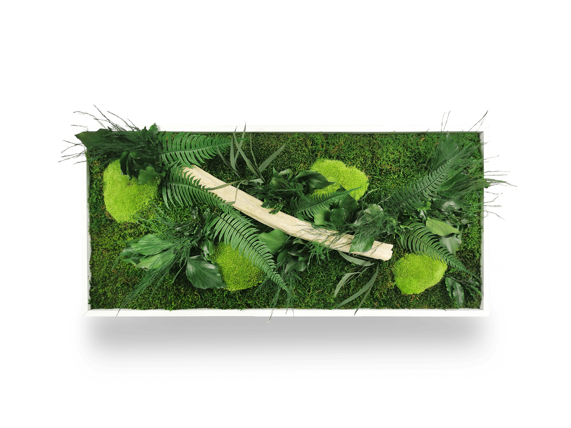 Tableau végétal naturel stabilisé Wood 34x74