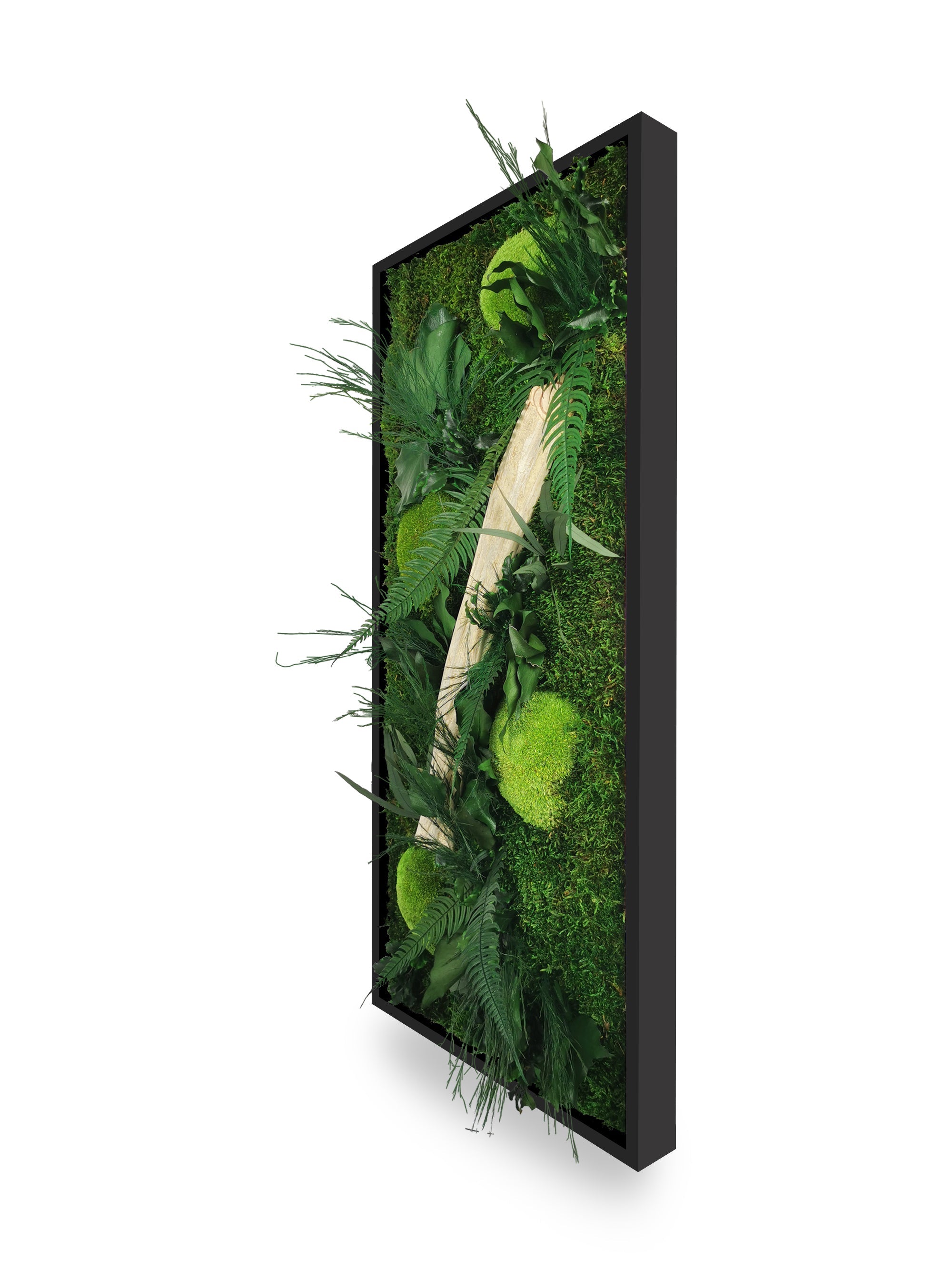 Stabilisierter Pflanzentisch aus Naturholz, 34 x 74 cm