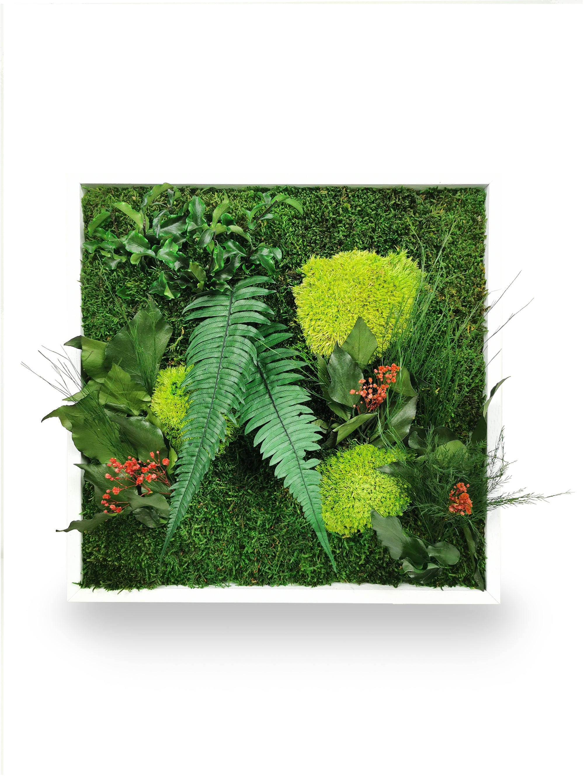Stabilisiertes Naturpflanzengemälde Elegance 35x35